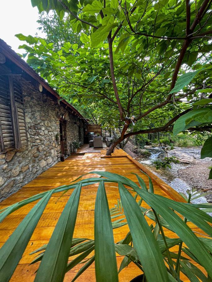 The Hunter House Villa Ciudanovita Ngoại thất bức ảnh