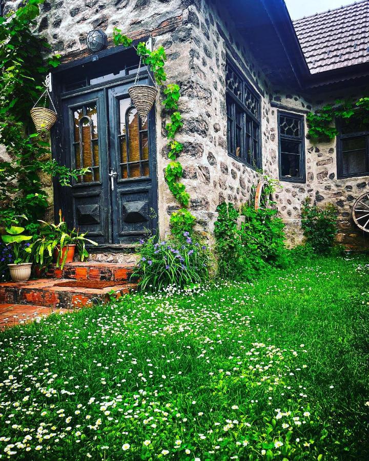 The Hunter House Villa Ciudanovita Ngoại thất bức ảnh